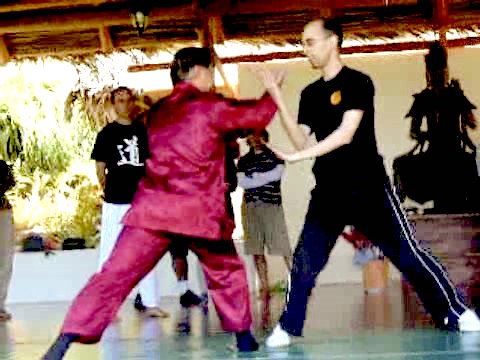 Wahnam Taijiquan