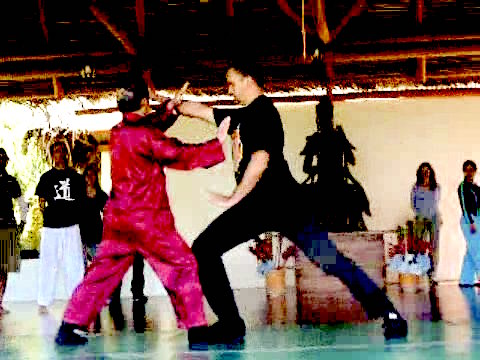 Wahnam Taijiquan