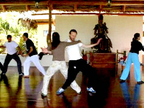 Wahnam Taijiquan