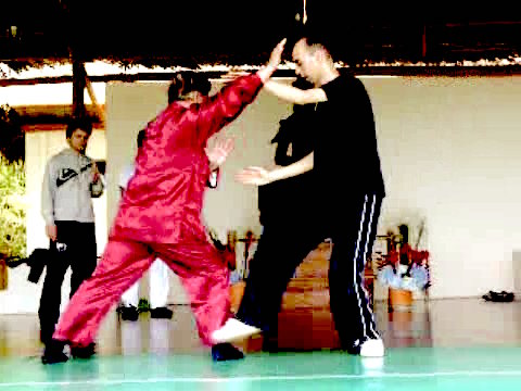 Wahnam Taijiquan