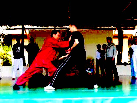 Wahnam Taijiquan