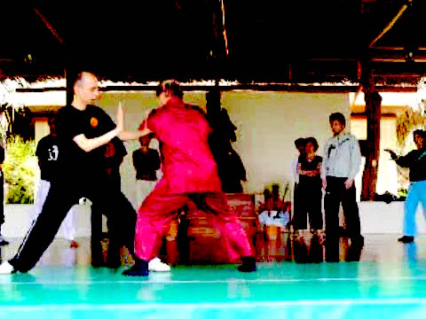 Wahnam Taijiquan