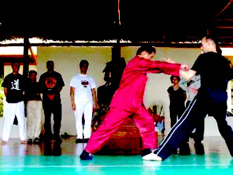 Wahnam Taijiquan