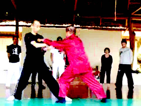 Wahnam Taijiquan