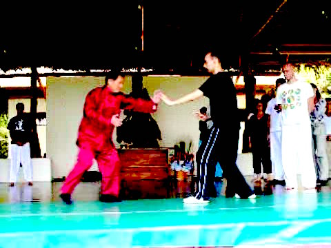 Wahnam Taijiquan