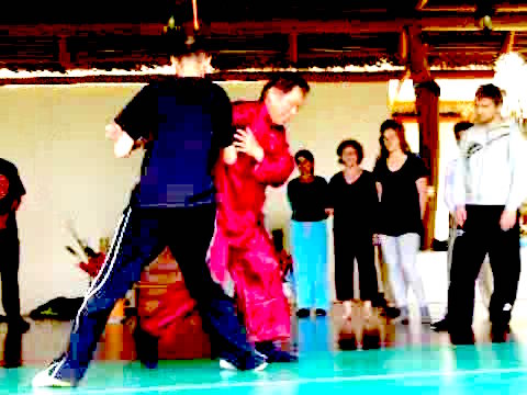 Wahnam Taijiquan