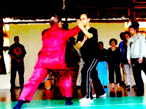 Wahnam Taijiquan