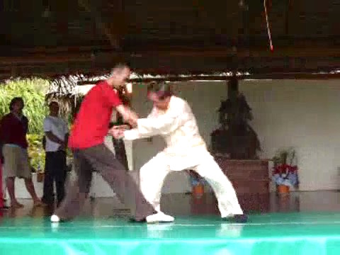 Wahnam Taijiquan