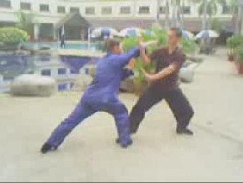 Taijiquan basic combat sequences