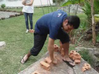 Brick-Breaking