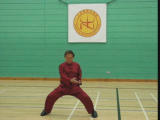 Shaolin Kungfu