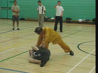 Shaolin Kungfu