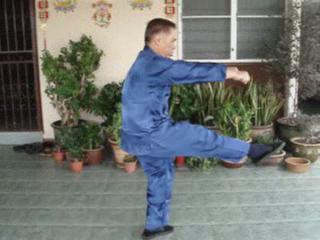 Eagle Claw Kungfu