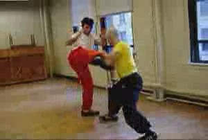 Shaolin Kungfu free sparring