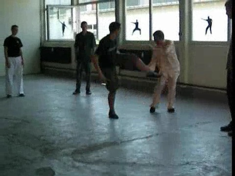 shaolin kungfu