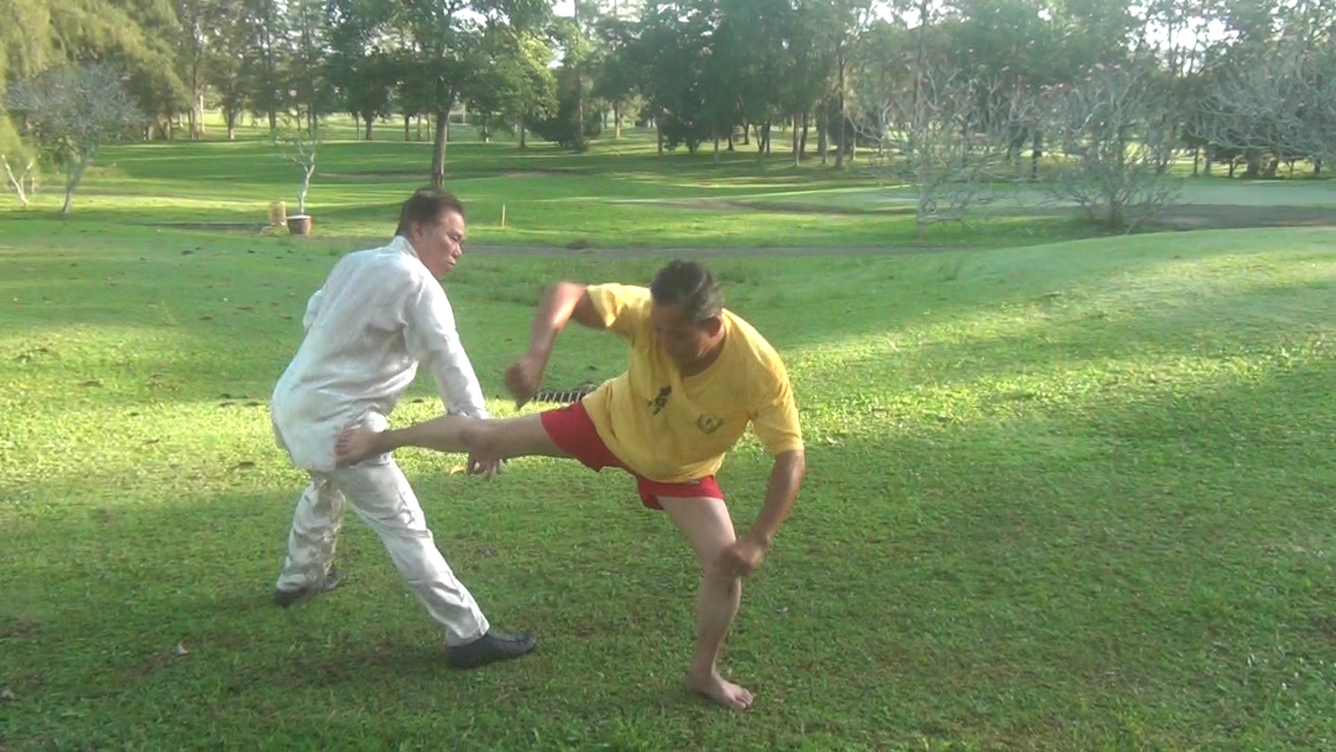 Muay Thai Counters