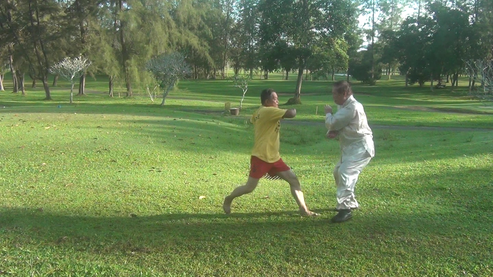 Muay Thai Counters