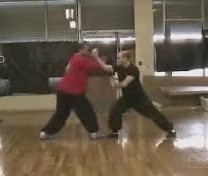 kungfu sparring