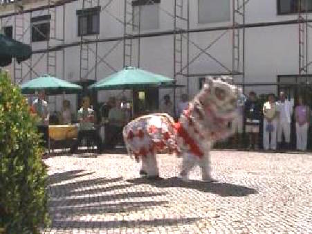 Lion Dance