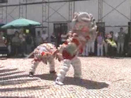 Lion Dance