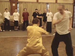 Shaolin Kungfu