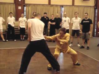 Shaolin Kungfu