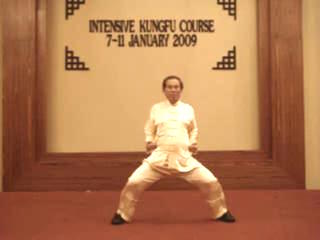 Shaolin Kungfu