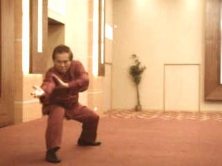 Shaolin Kungfu