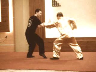 Shaolin Kungfu