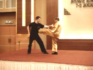 Shaolin Kungfu