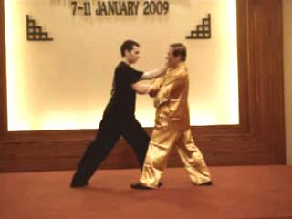 Shaolin Kungfu