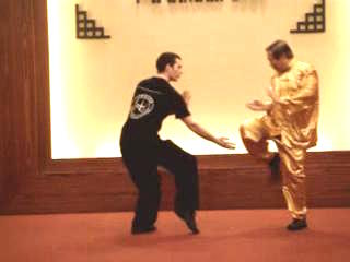 Shaolin Kungfu