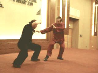 Shaolin Kungfu