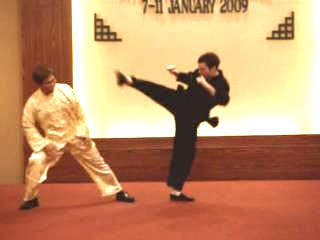 Shaolin Kungfu