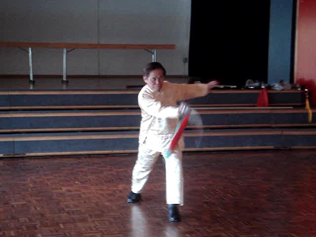 Taiji Sabre