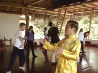 Wahnam Taijiquan