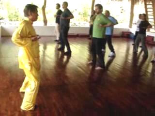 Wahnam Taijiquan