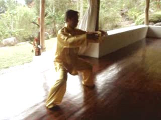 Wahnam Taijiquan