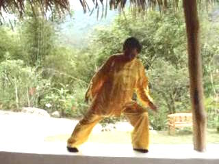 Wahnam Taijiquan