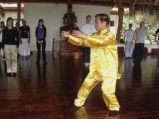 Wahnam Taijiquan