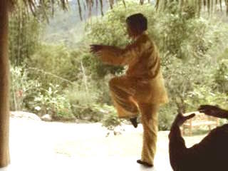 Wahnam Taijiquan