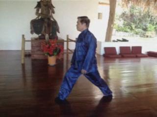 Wahnam Taijiquan