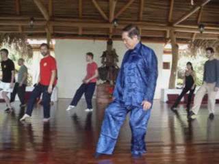 Wahnam Taijiquan