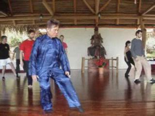 Wahnam Taijiquan