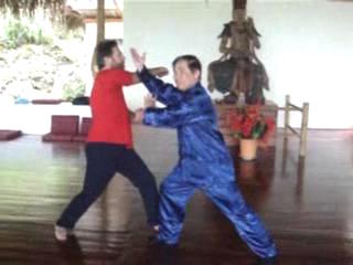 Wahnam Taijiquan