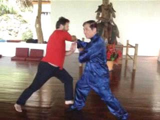 Wahnam Taijiquan