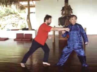 Wahnam Taijiquan