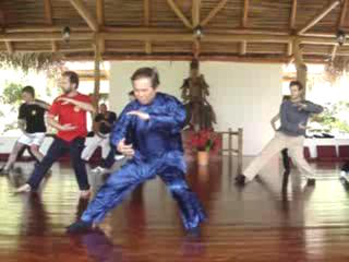 Wahnam Taijiquan