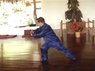 Wahnam Taijiquan