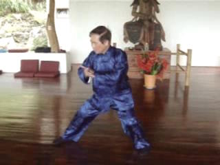 Wahnam Taijiquan